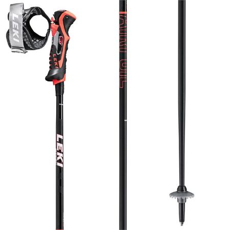 Picture for category Ski Poles
