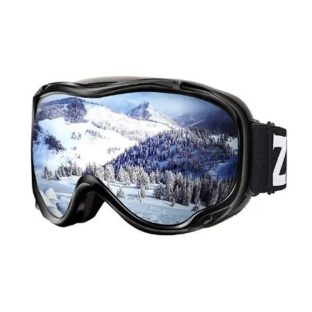 Picture for category Ski Accessories